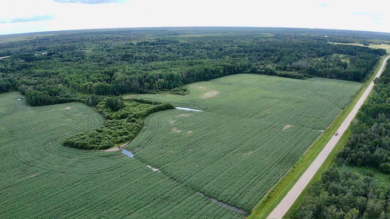 19 County Road Roseau, MN 56751 - Photo 12 of 15 Gallery Image 12