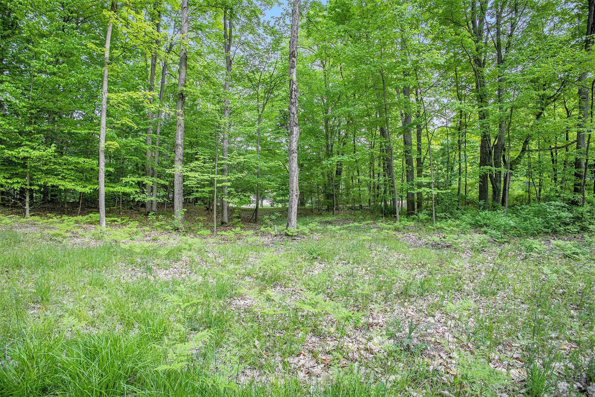 0 Warren Road Beulah, MI 49617 - Photo 13 of 19 Gallery Image 13