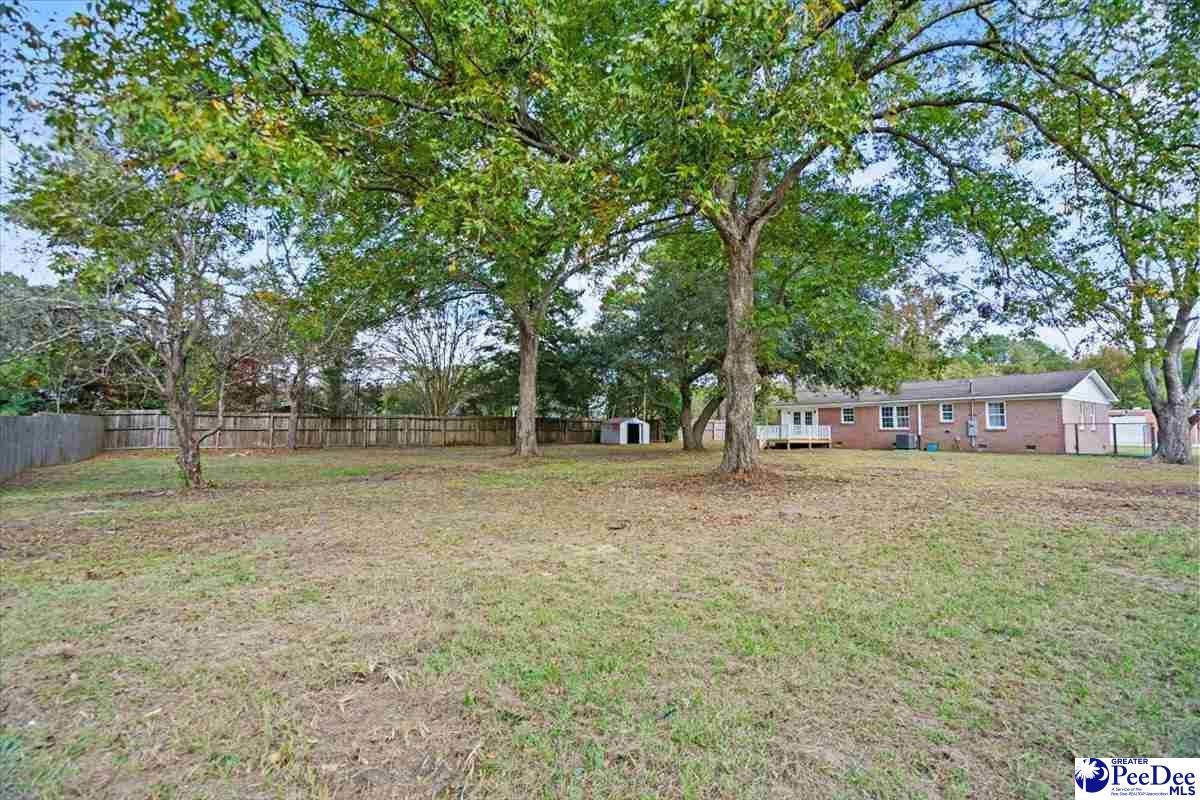 3403 South Hill Road Timmonsville, SC 29161 - Photo 31 of 33 Gallery Image 31