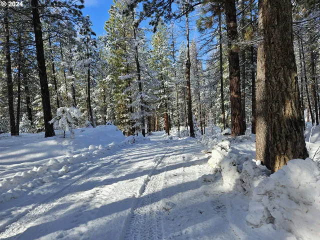 $315,000 | Undisclosed Address, Sumpter, OR 97877