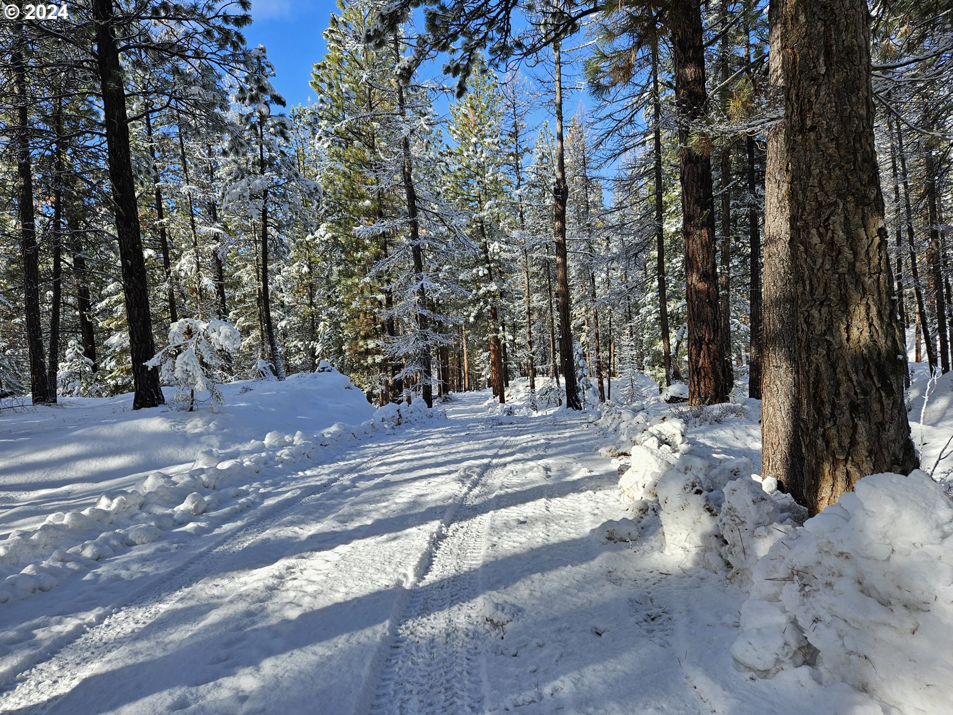Undisclosed Address Sumpter, OR 97877 - Photo 25 of 35