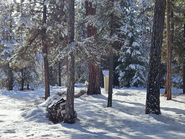 $315,000 | Undisclosed Address, Sumpter, OR 97877