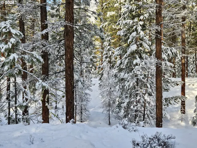 $315,000 | Undisclosed Address, Sumpter, OR 97877