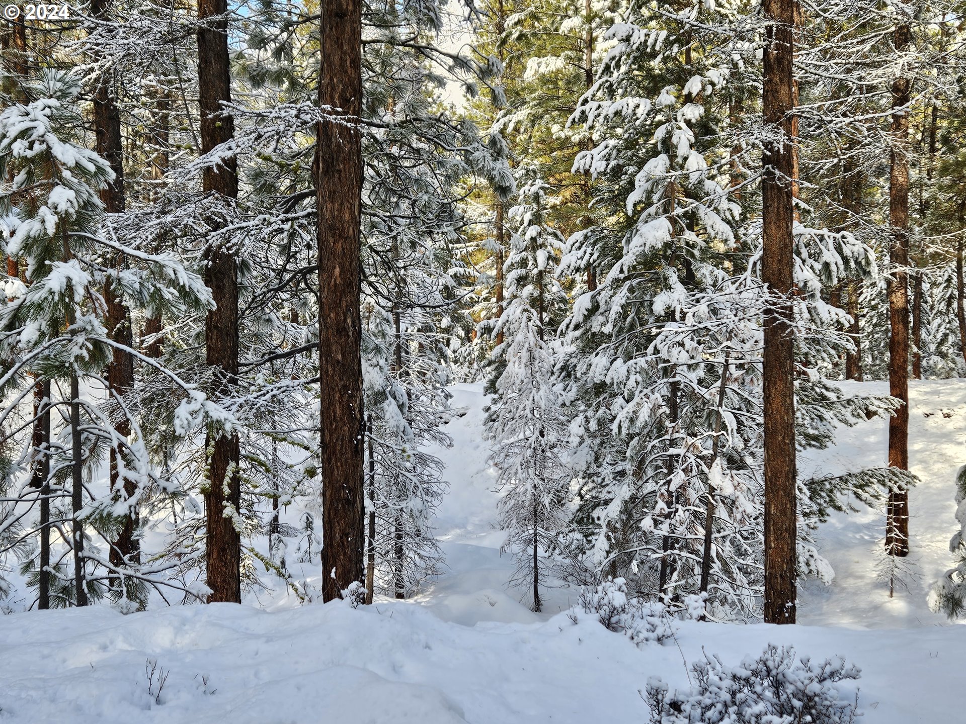 Undisclosed Address Sumpter, OR 97877 - Photo 28 of 35