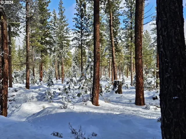 $315,000 | Undisclosed Address, Sumpter, OR 97877