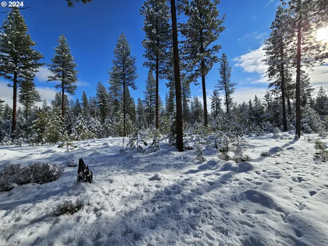 $315,000 | Undisclosed Address, Sumpter, OR 97877