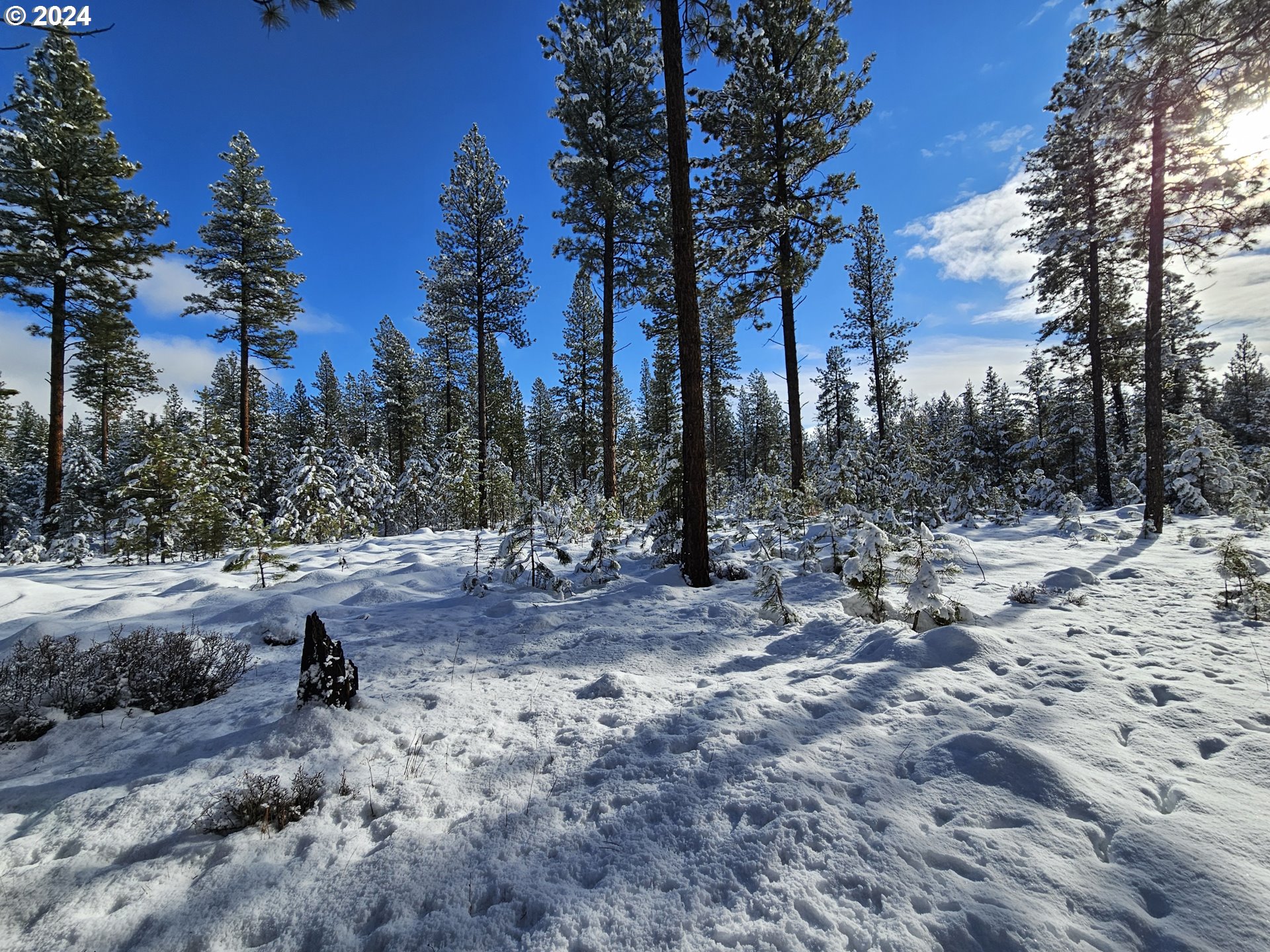 Undisclosed Address Sumpter, OR 97877 - Photo 30 of 35