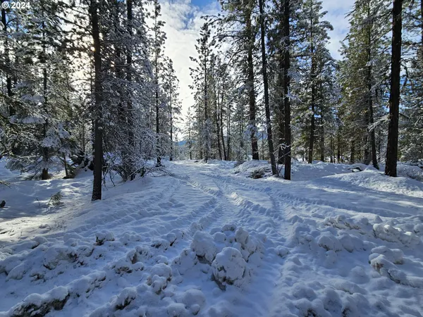 $315,000 | Undisclosed Address, Sumpter, OR 97877
