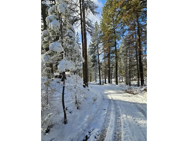 $315,000 | Undisclosed Address, Sumpter, OR 97877