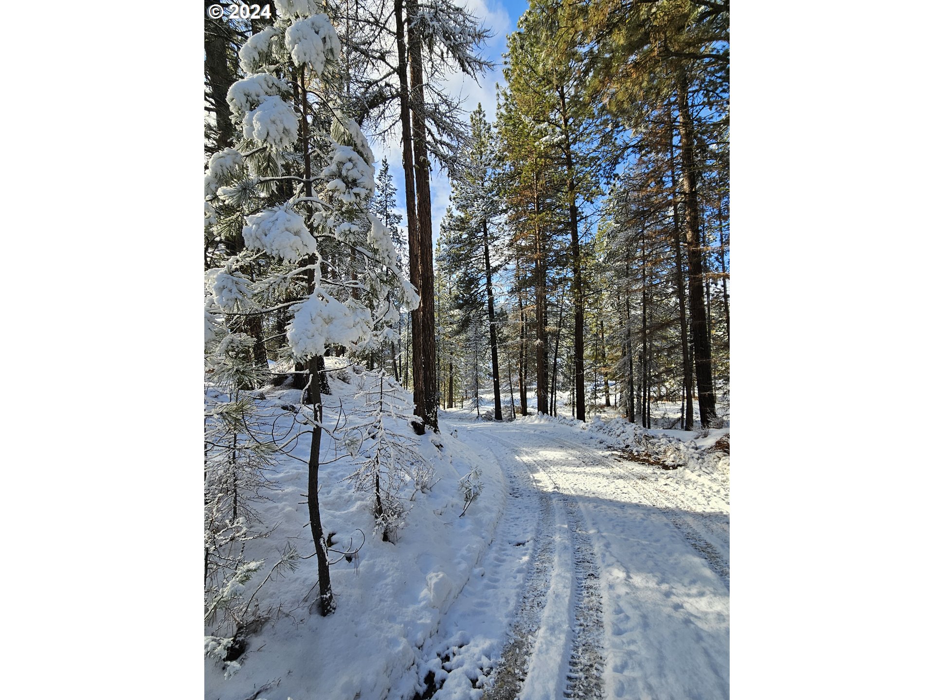 Undisclosed Address Sumpter, OR 97877 - Photo 33 of 35