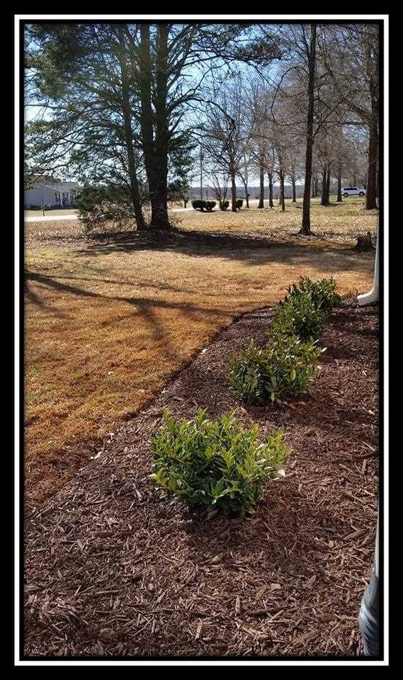 156 State Rd S-42-751 Lyman, SC 29365 - Photo 23 of 24