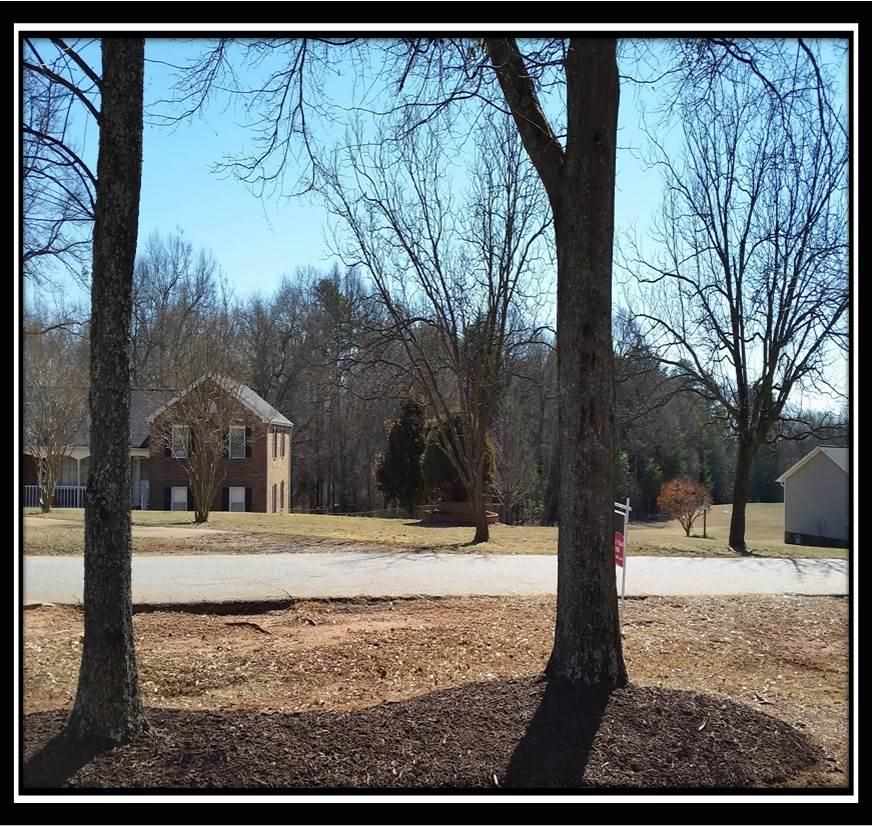 156 State Rd S-42-751 Lyman, SC 29365 - Photo 24 of 24