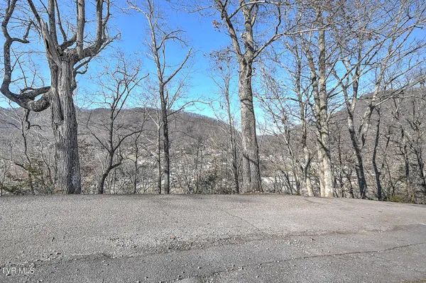 $285,000 | 441 Skyline Drive, Gate City, VA 24251