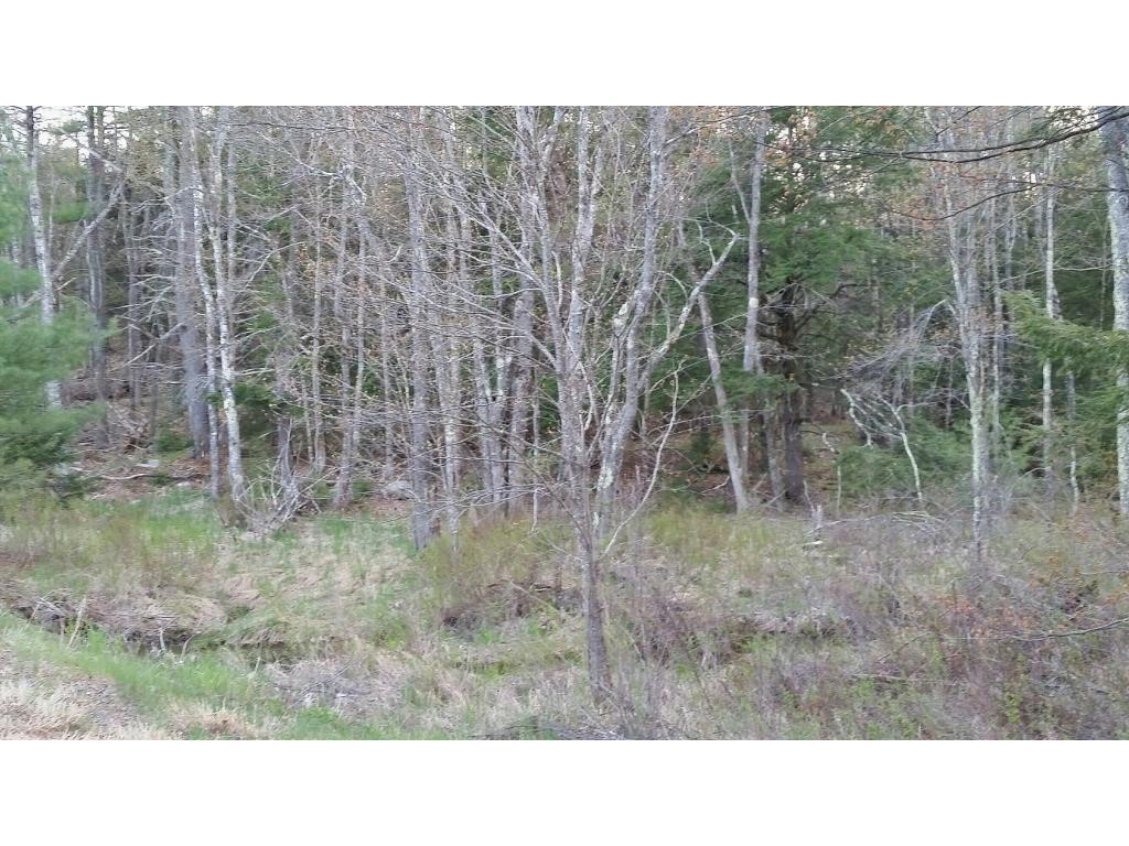 M39-l1 Middleton Road Milton, NH 03851 - Photo 4 of 5