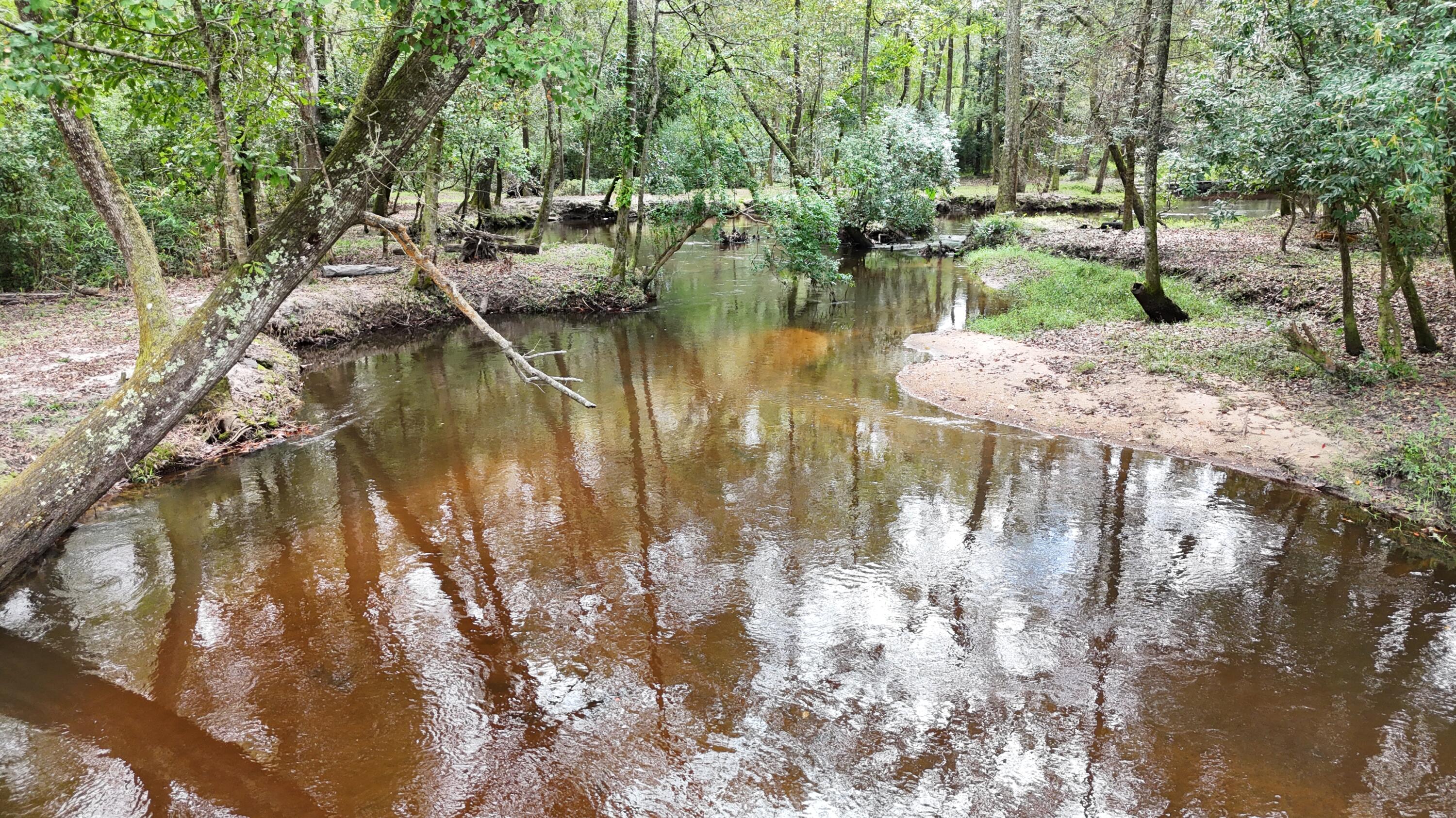 1320 Reynolds Pond Road Aiken, SC 29805 - Photo 13 of 36 DJI_20250928114354_0398_D