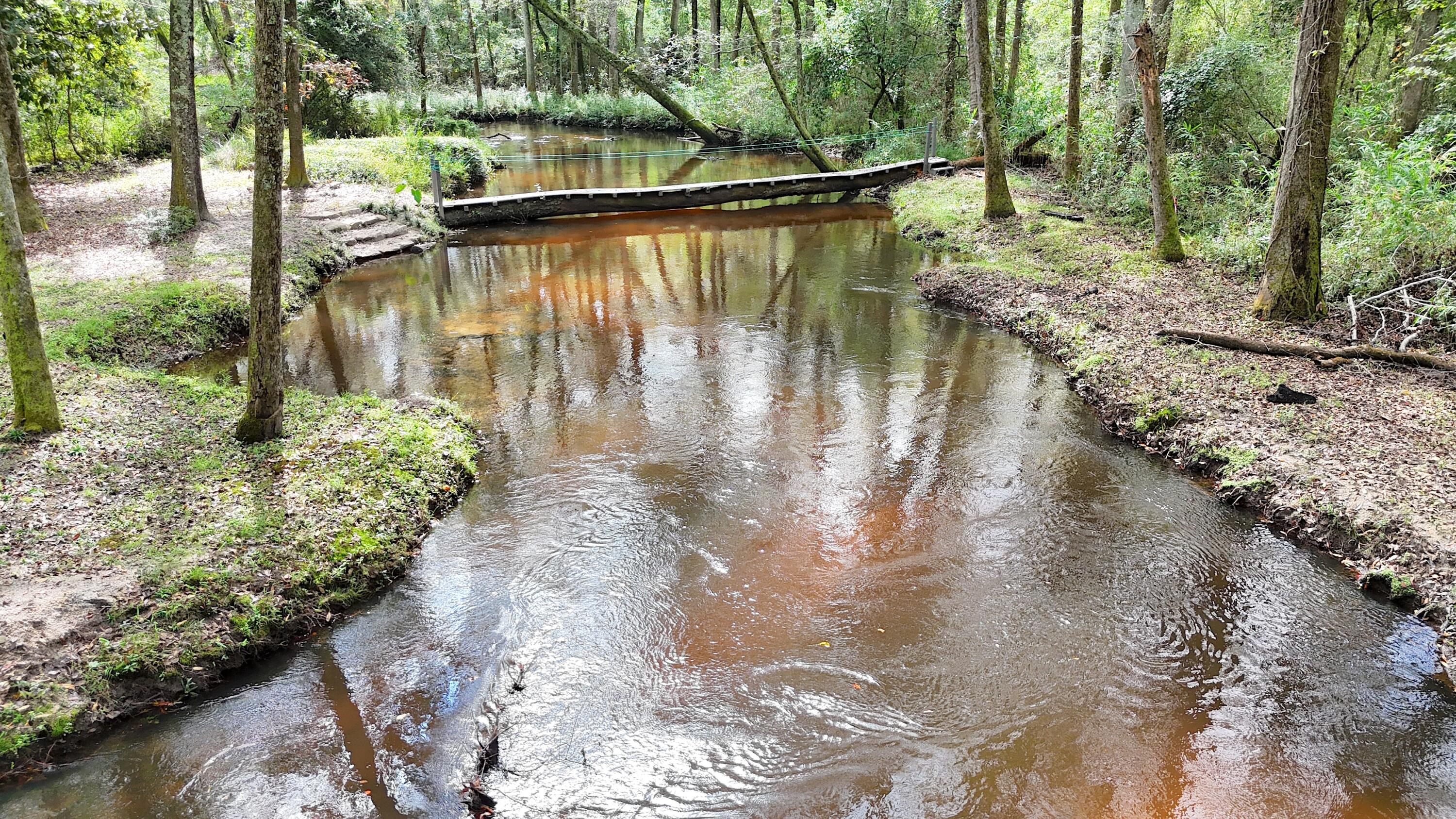 1320 Reynolds Pond Road Aiken, SC 29805 - Photo 14 of 36 DJI_20250928114815_0402_D