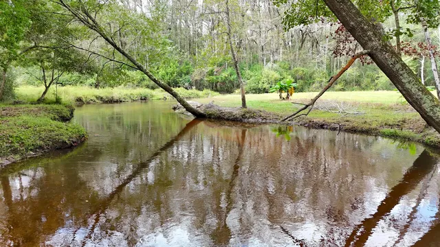 $250,000 | 1320 Reynolds Pond Road, Aiken, SC 29805