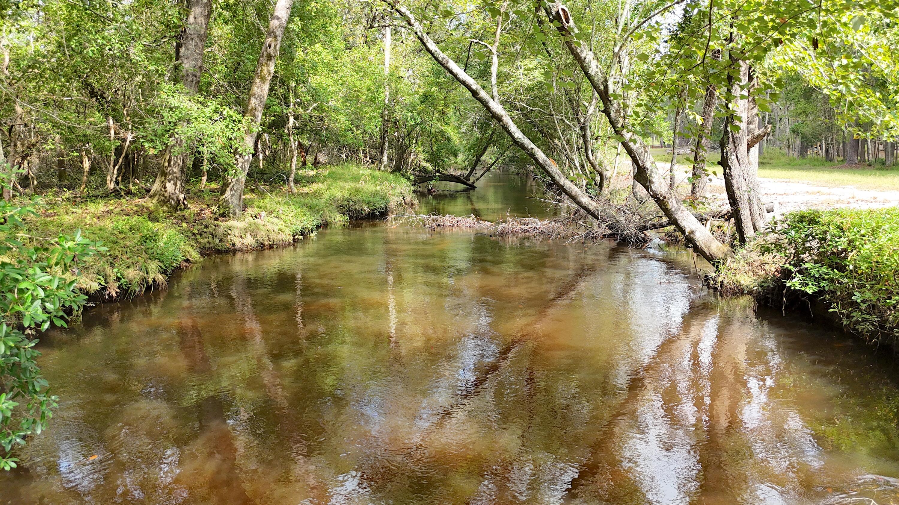1320 Reynolds Pond Road Aiken, SC 29805 - Photo 17 of 36 DJI_20250928115842_0414_D