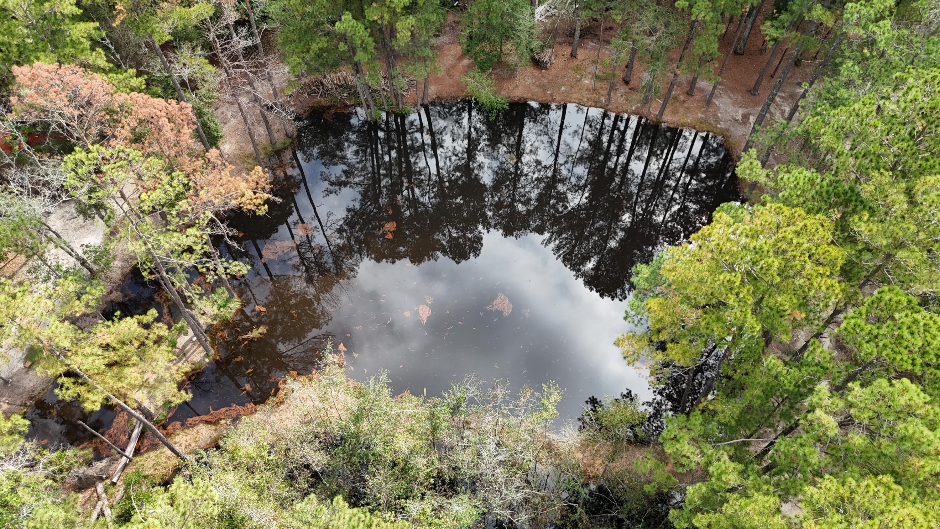 1320 Reynolds Pond Road Aiken, SC 29805 - Photo 18 of 36 DJI_20250928120044_0415_D