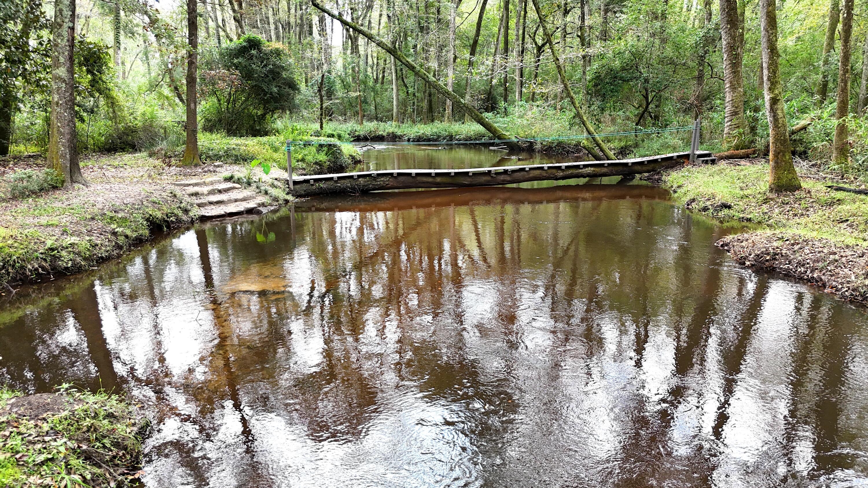 1320 Reynolds Pond Road Aiken, SC 29805 - Photo 3 of 36 DJI_20250928114958_0405_D
