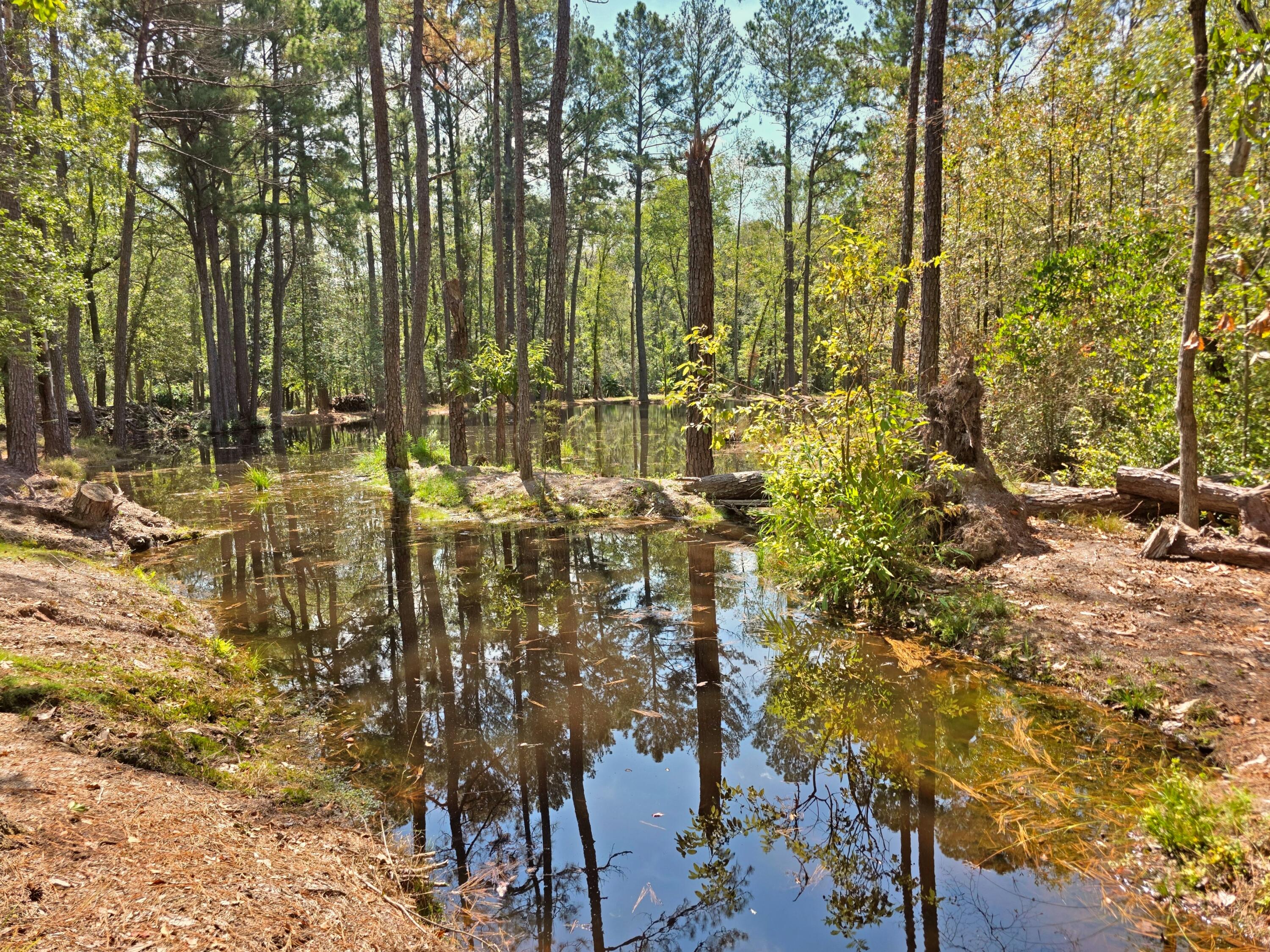 1320 Reynolds Pond Road Aiken, SC 29805 - Photo 4 of 36 20250922_124147