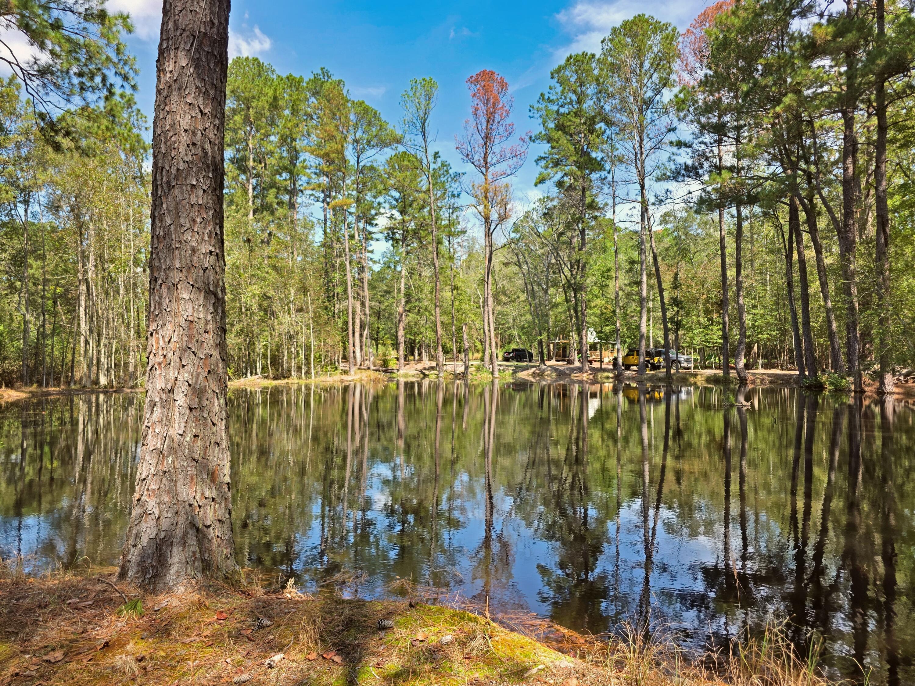 1320 Reynolds Pond Road Aiken, SC 29805 - Photo 5 of 36 20250922_124352