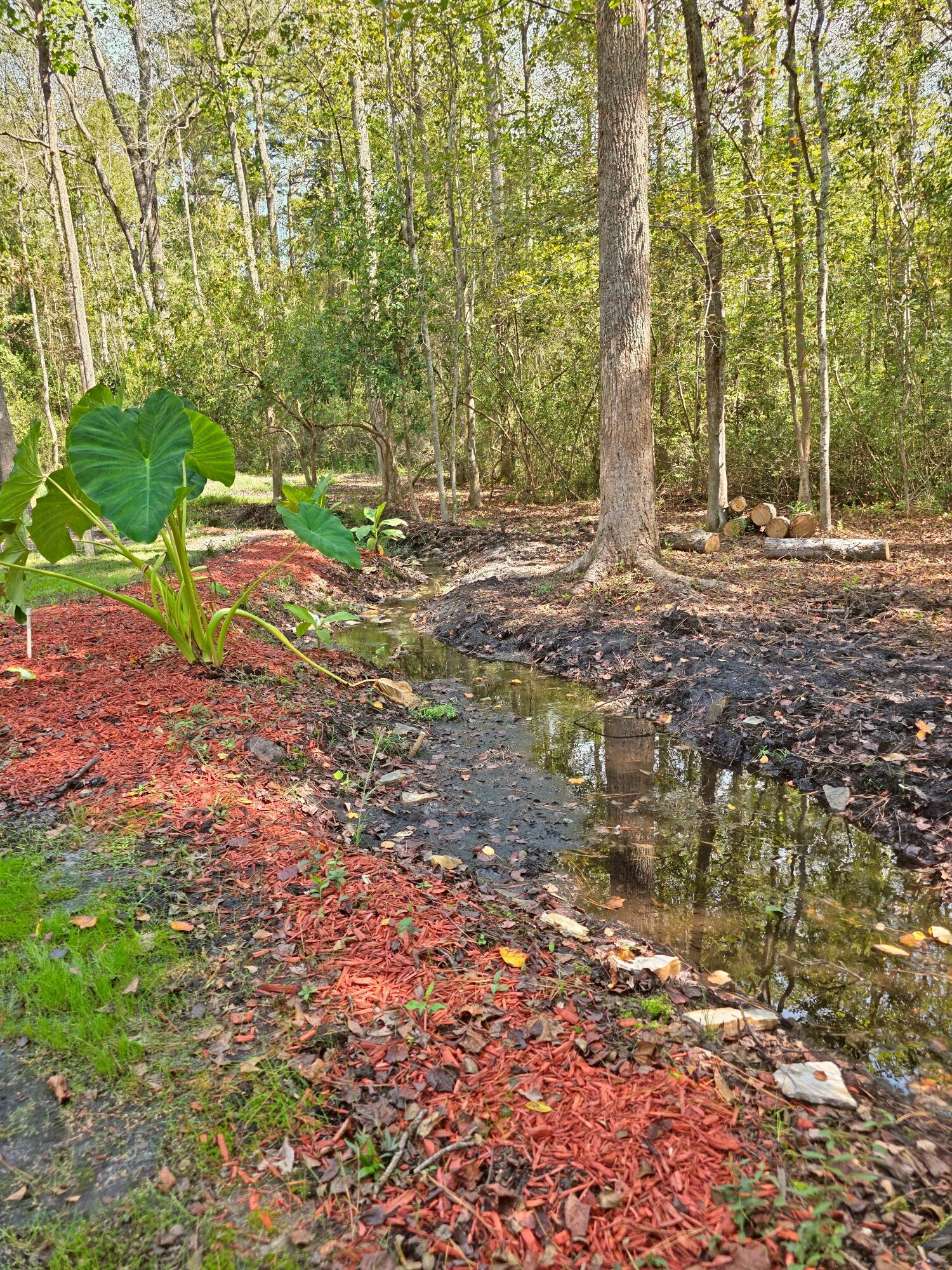 1320 Reynolds Pond Road Aiken, SC 29805 - Photo 6 of 36 20250922_125050