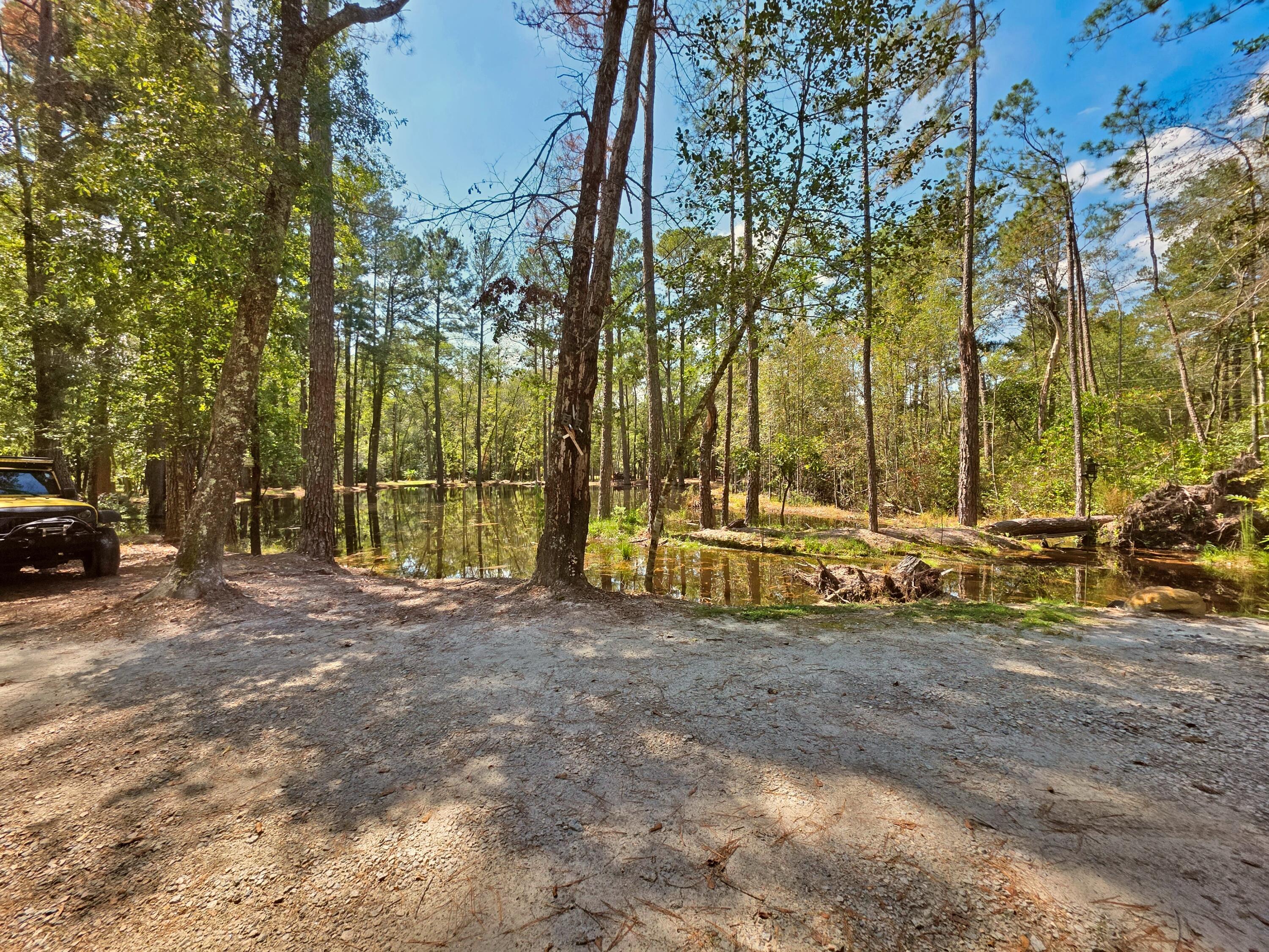 1320 Reynolds Pond Road Aiken, SC 29805 - Photo 8 of 36 20250922_124050