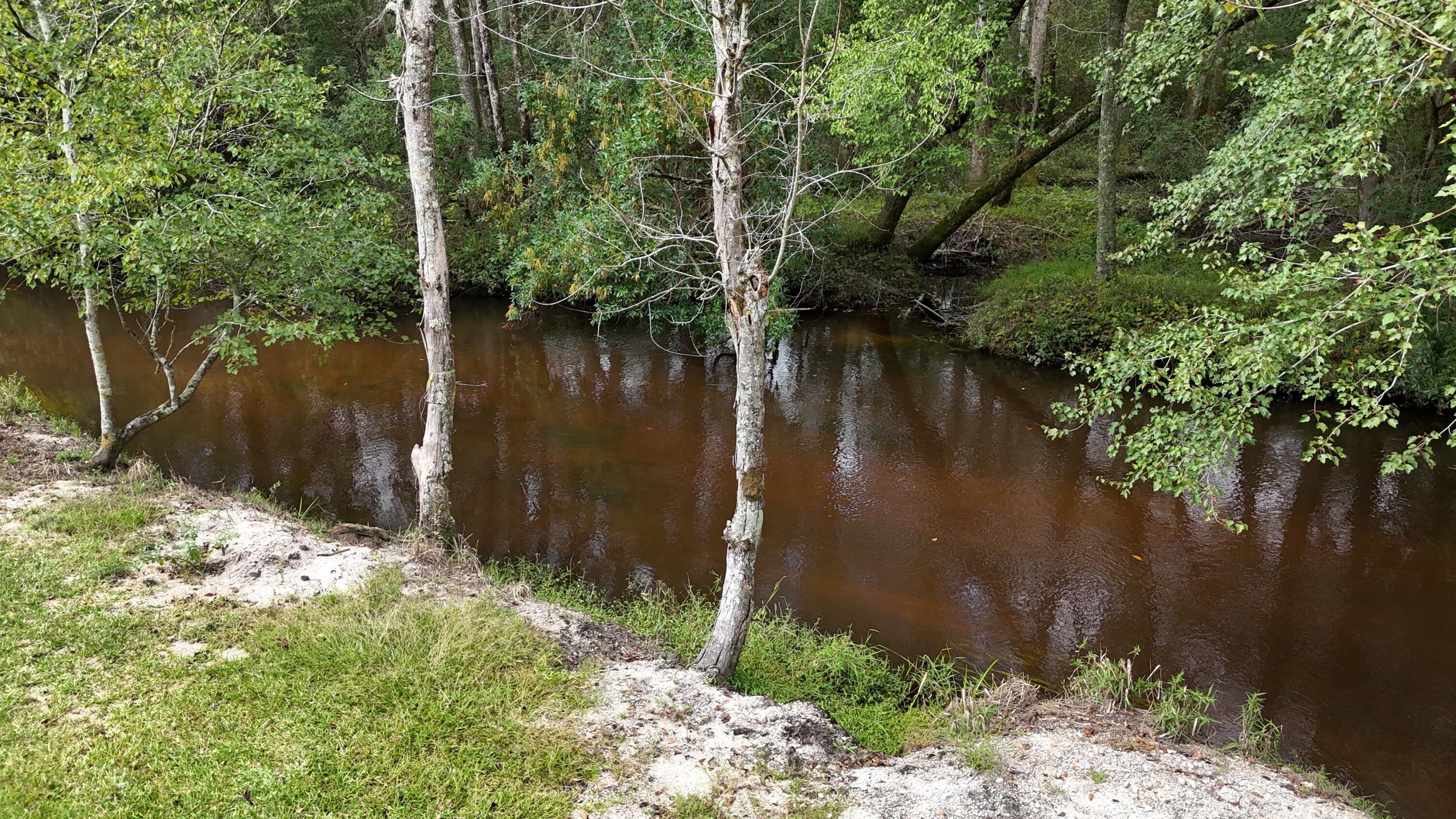 1320 Reynolds Pond Road Aiken, SC 29805 - Photo 10 of 36 DJI_20250928113941_0393_D