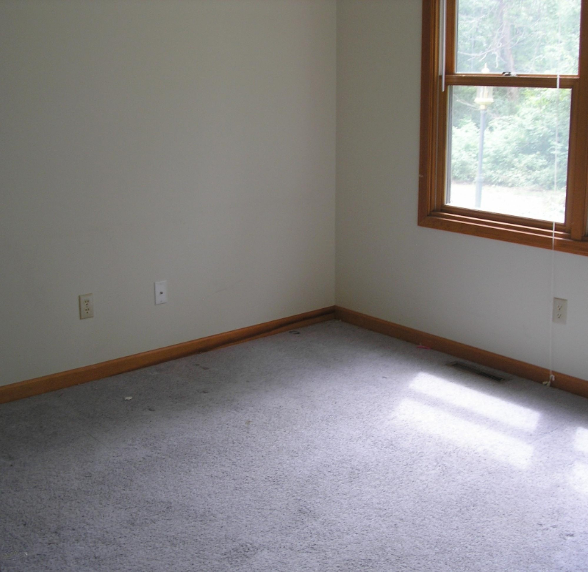 67961 Rainbow Road Jones, MI 49061 - Photo 10 of 28 P1010832