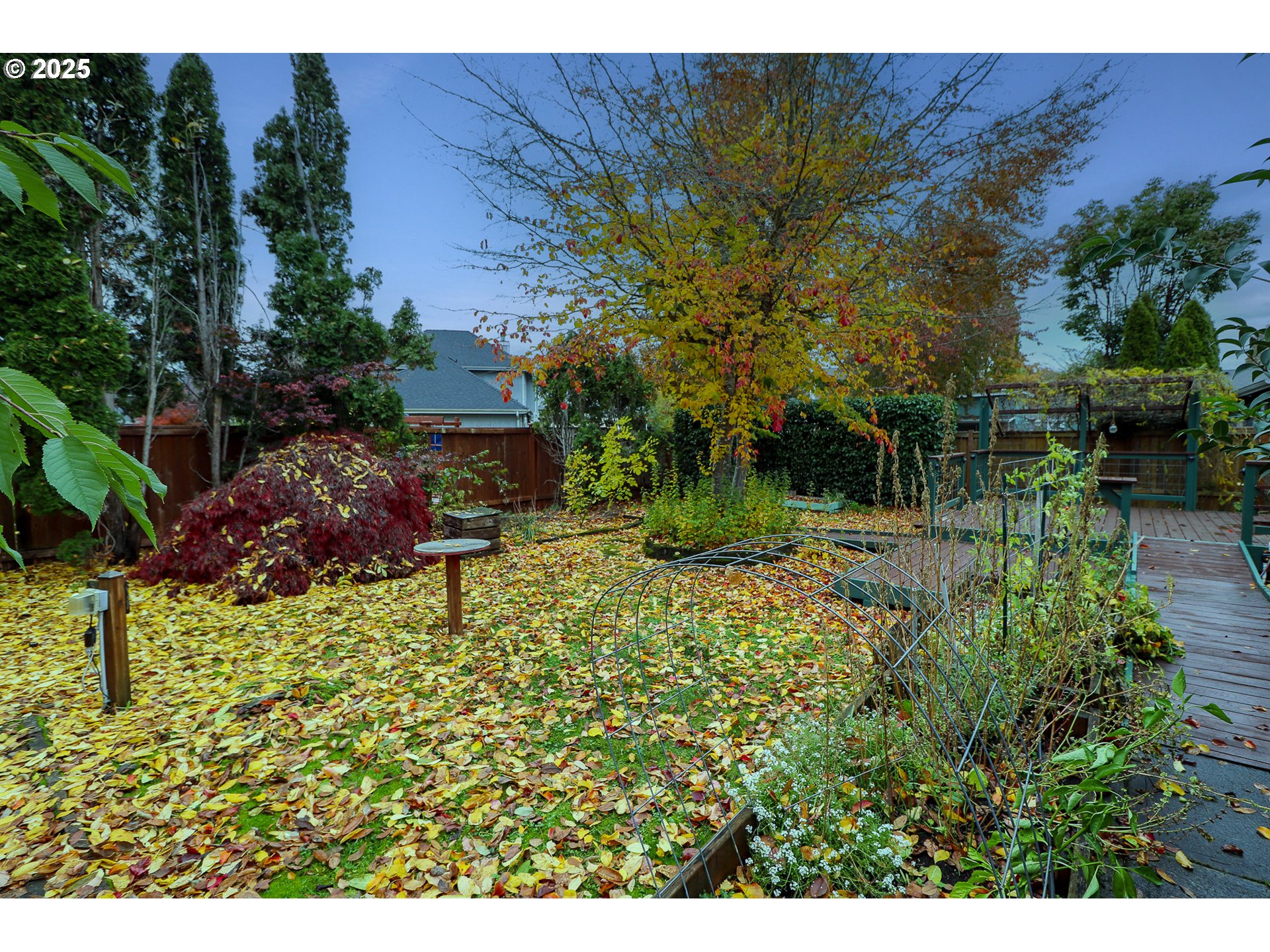 858 South 46th Street Springfield, OR 97478 - Photo 26 of 33 a view of a garden with a house