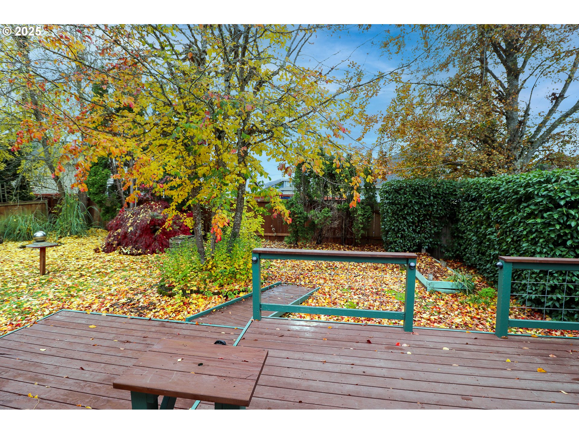 858 South 46th Street Springfield, OR 97478 - Photo 31 of 33 a view of a outdoor space