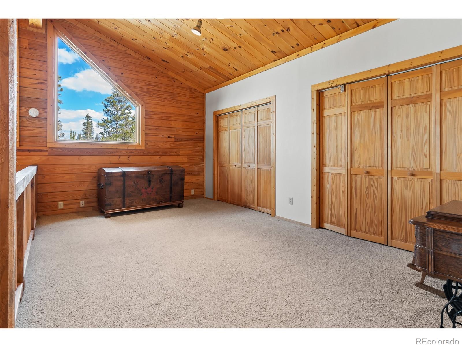 1666 High Creek Road Fairplay, CO 80440 - Photo 23 of 49