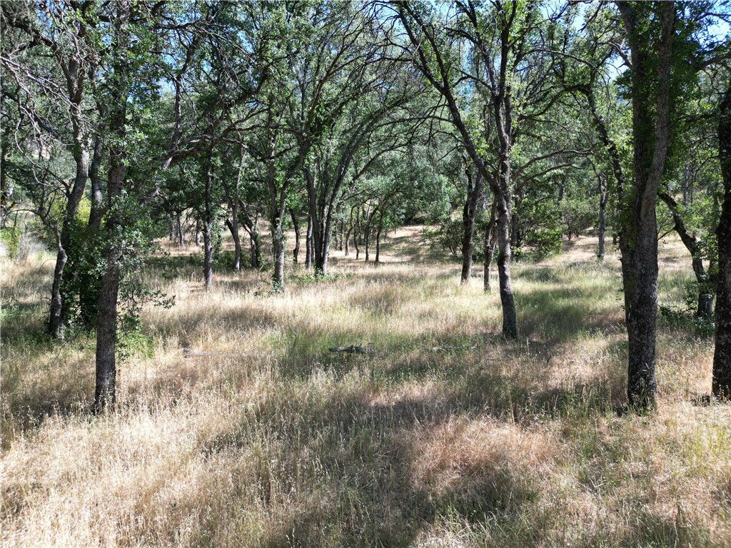 16625 Rancho Tehama Road Corning, CA 96021 - Photo 2 of 9