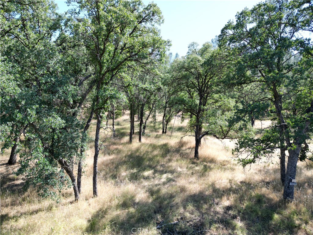 16625 Rancho Tehama Road Corning, CA 96021 - Photo 3 of 9