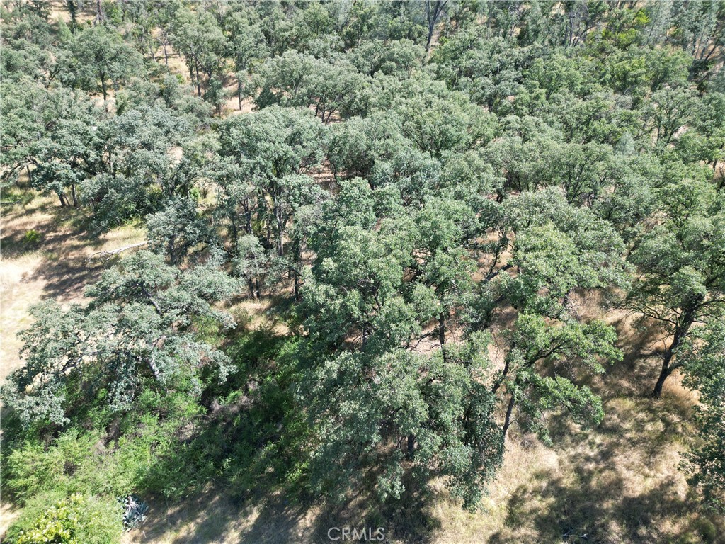 16625 Rancho Tehama Road Corning, CA 96021 - Photo 7 of 9