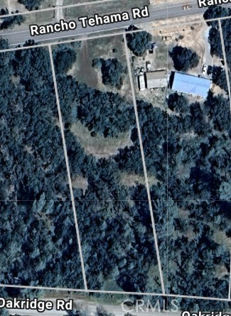 16625 Rancho Tehama Road Corning, CA 96021 - Photo 8 of 9