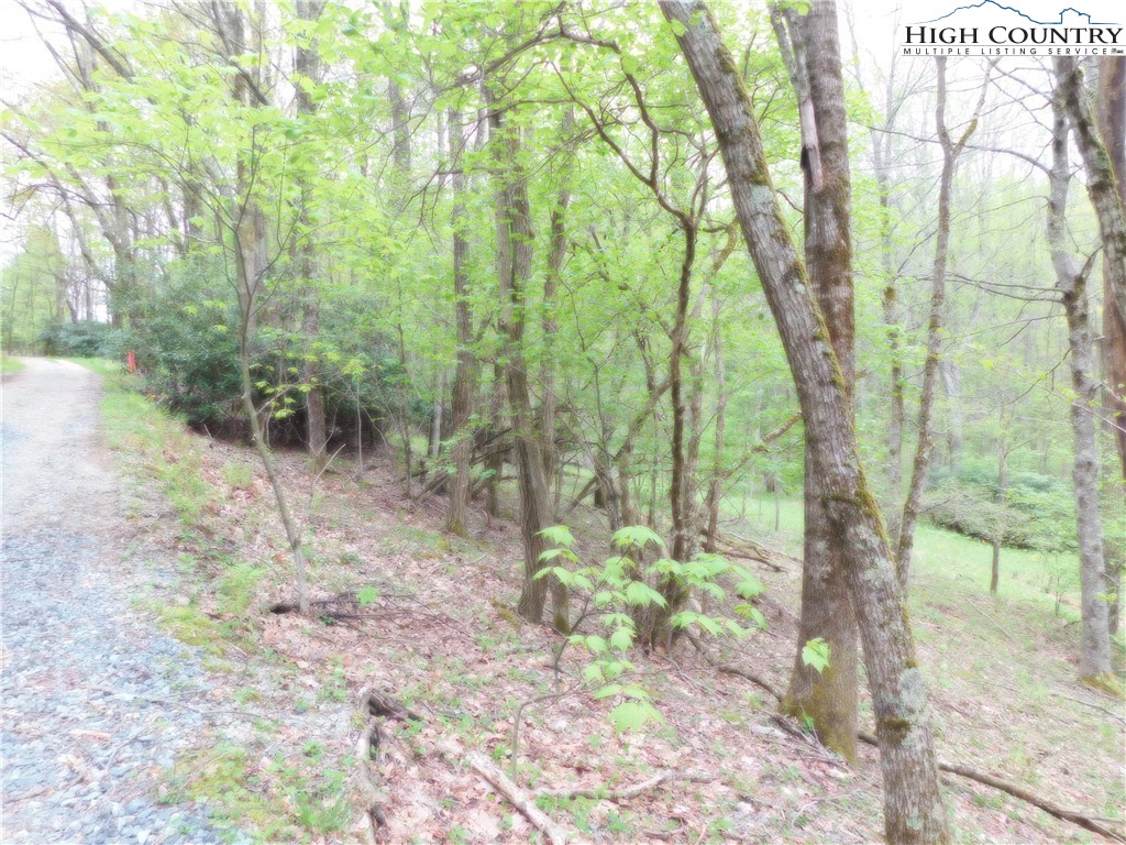 John Dotson Road Boone, NC 28607 - Photo 8 of 9 Gallery Image 8