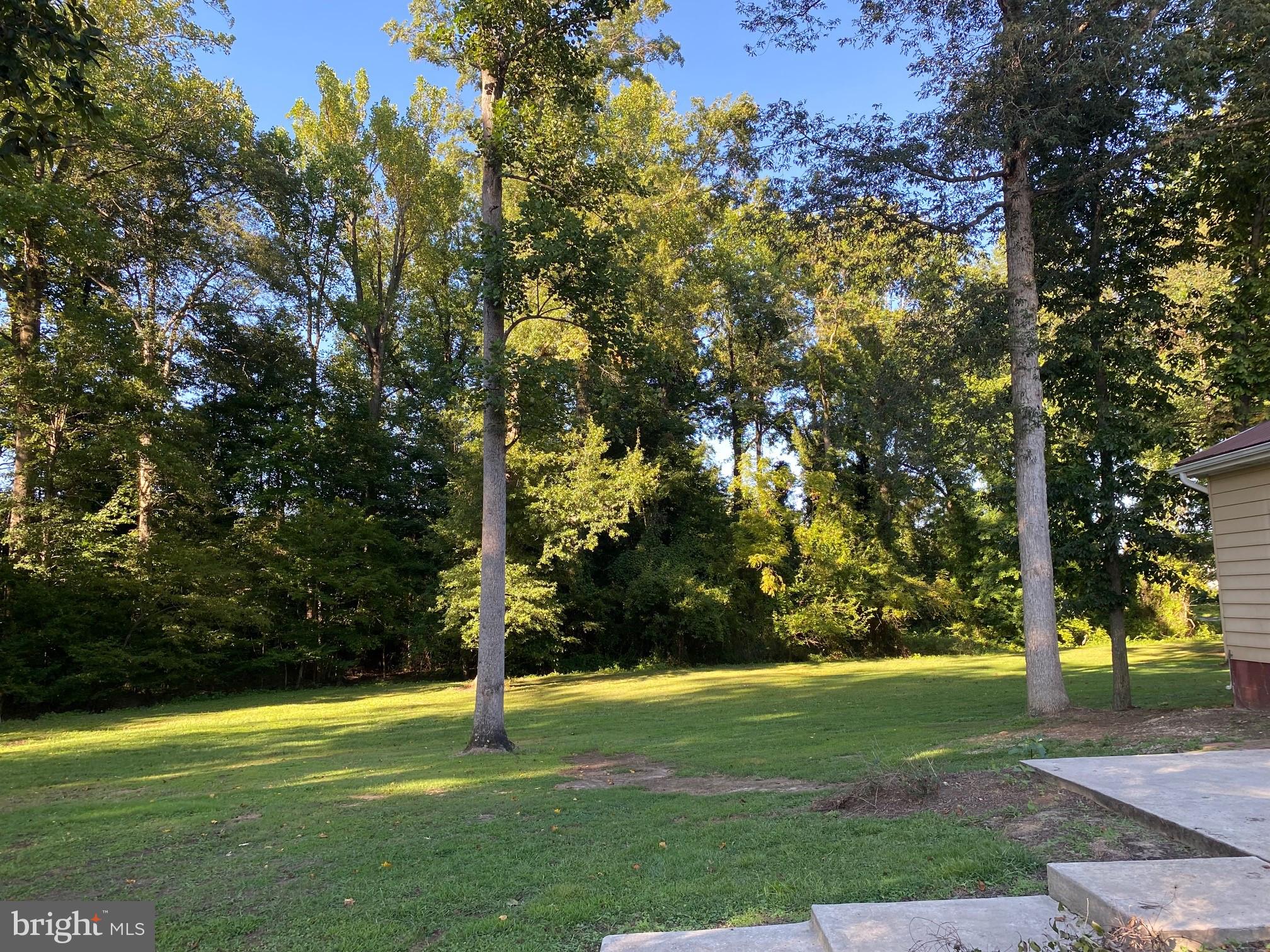 13852 Dulin Road Queen Anne, MD 21657 - Photo 5 of 16 a view of a park with large trees
