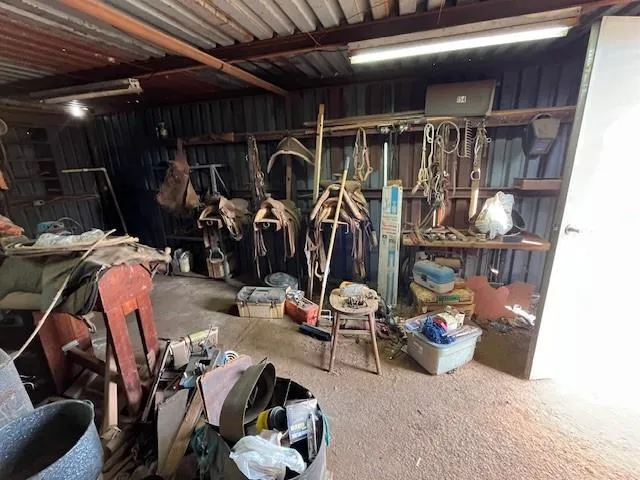 a view of a yard with large tree