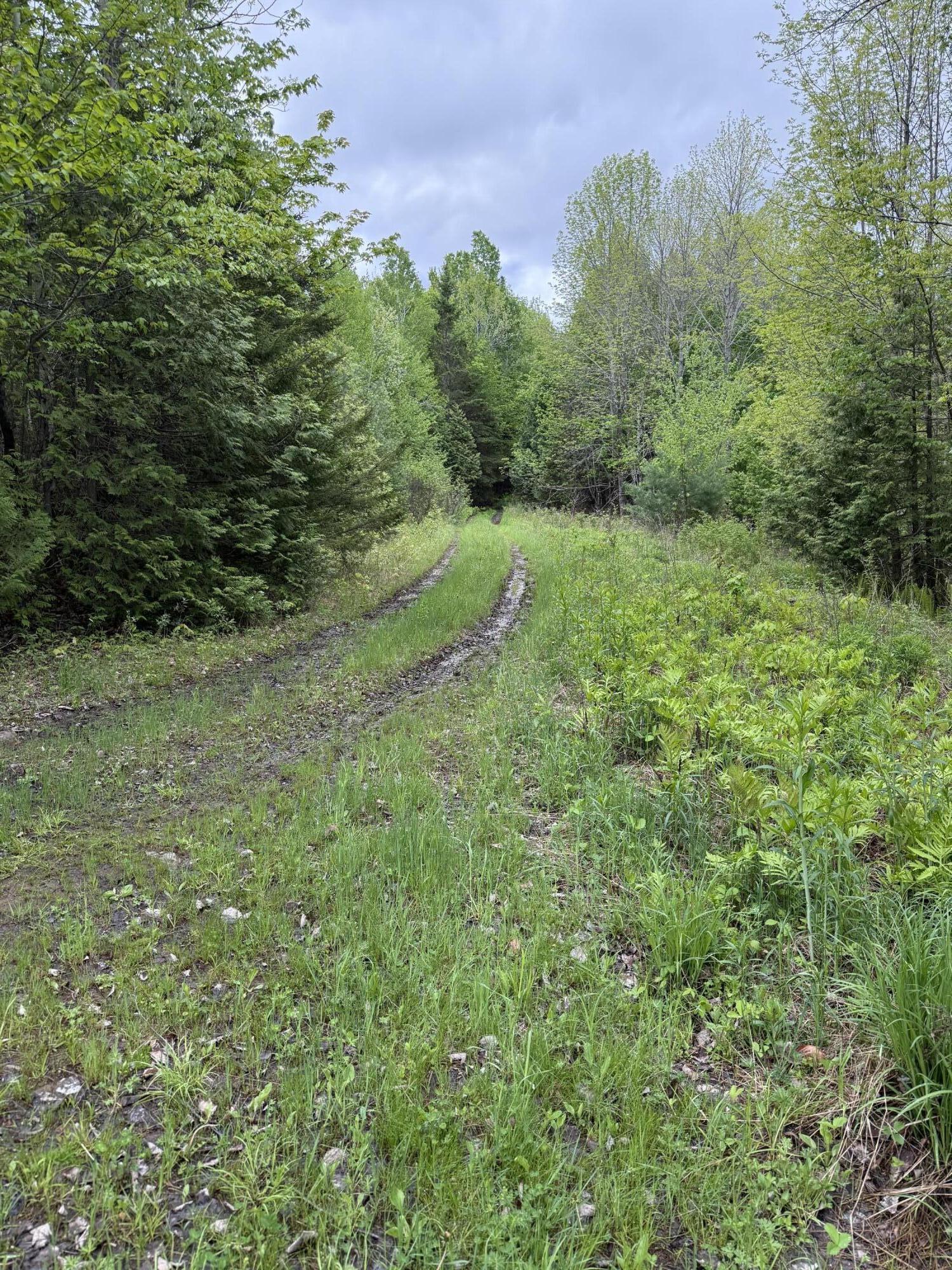 0 Dixie Road Wytopitlock, ME 04497 - Photo 8 of 8 IMG_9714