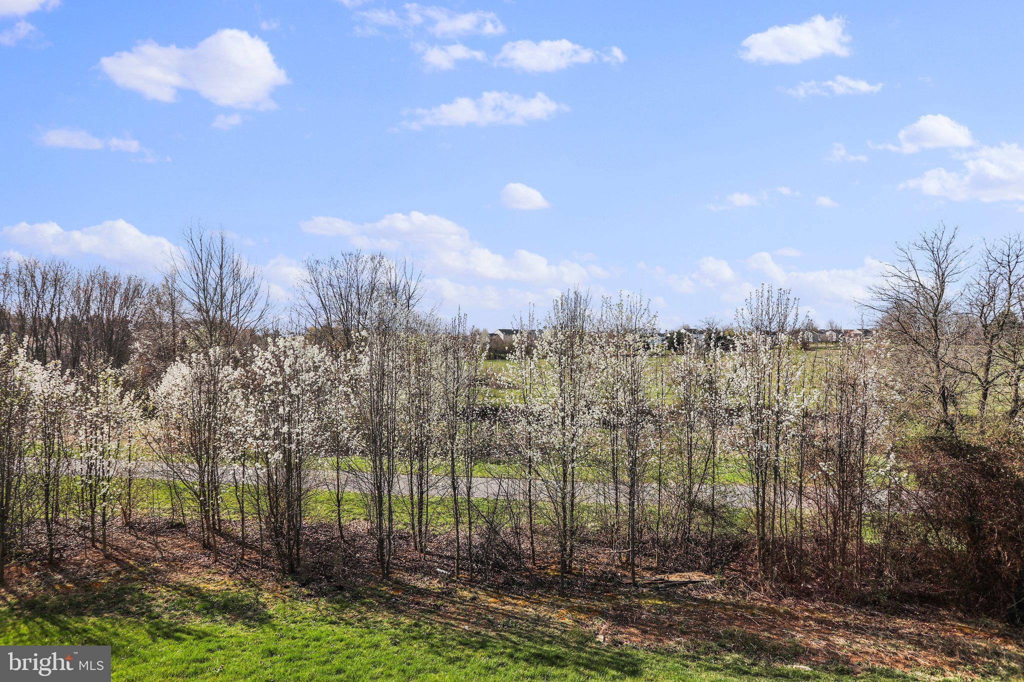 5211 Red Maple Drive Frederick, MD 21703 - Photo 34 of 90 Back trails