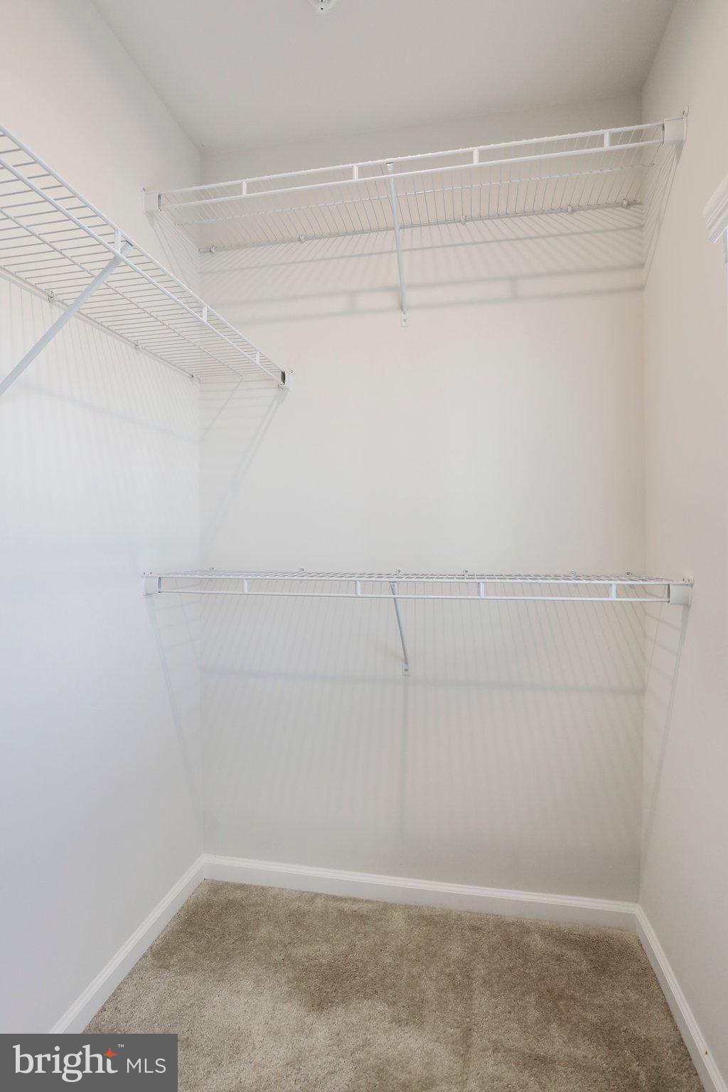 5211 Red Maple Drive Frederick, MD 21703 - Photo 49 of 90