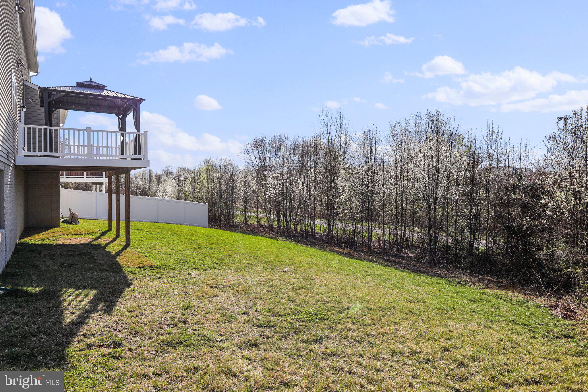 5211 Red Maple Drive Frederick, MD 21703 - Photo 5 of 90 Backyard