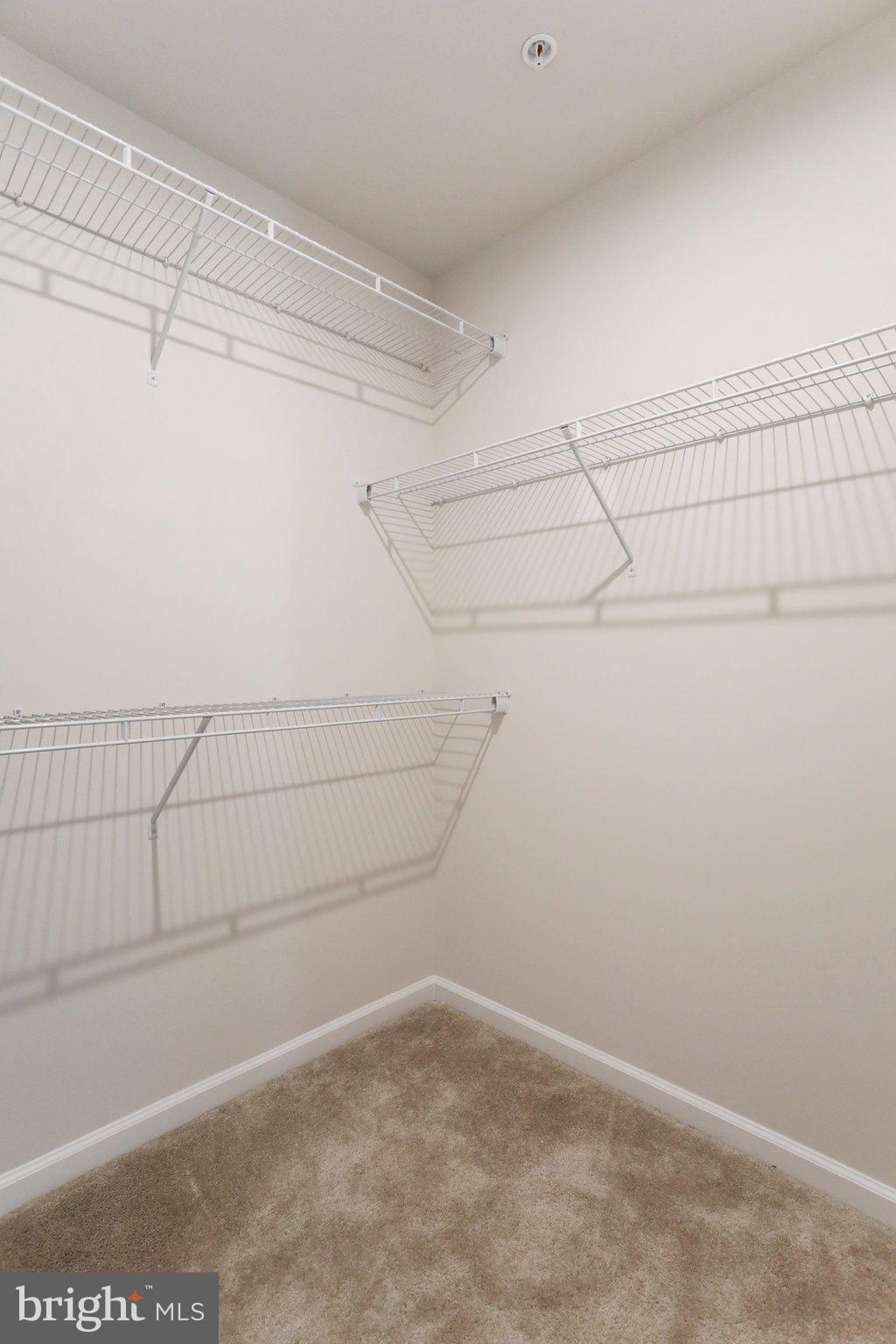 5211 Red Maple Drive Frederick, MD 21703 - Photo 69 of 90