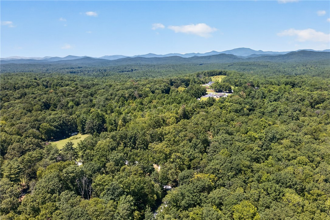 329 South Dellwood Road Mountain Rest, SC 29664 - Photo 30 of 43 Gallery Image 30