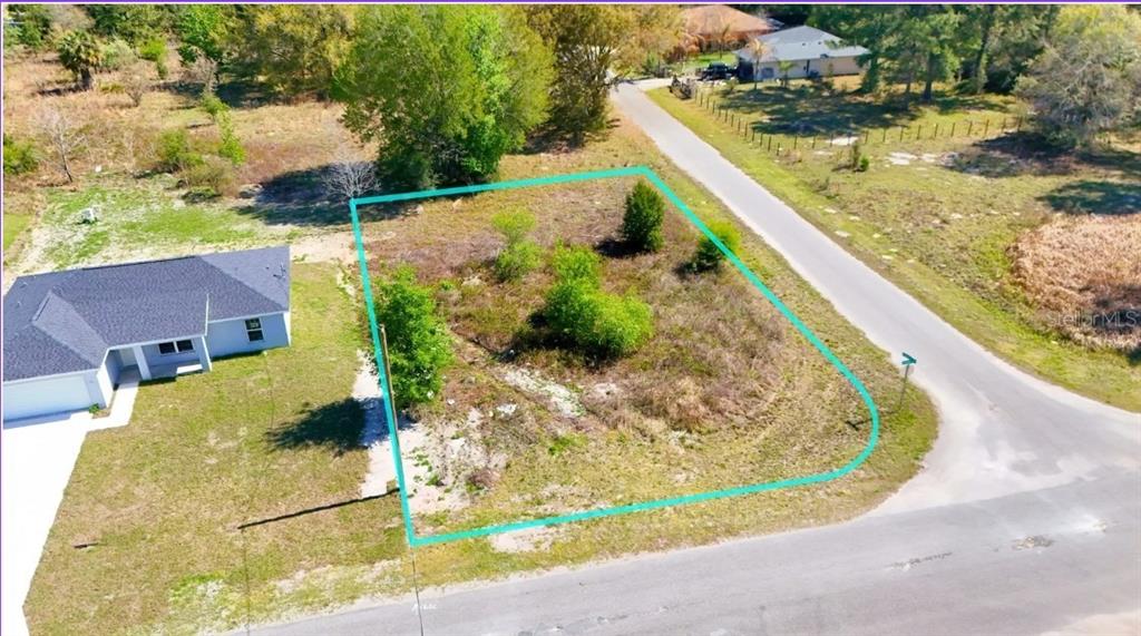 Tbd Tbd Corner Road Ocklawaha, FL 32179 - Photo 2 of 12