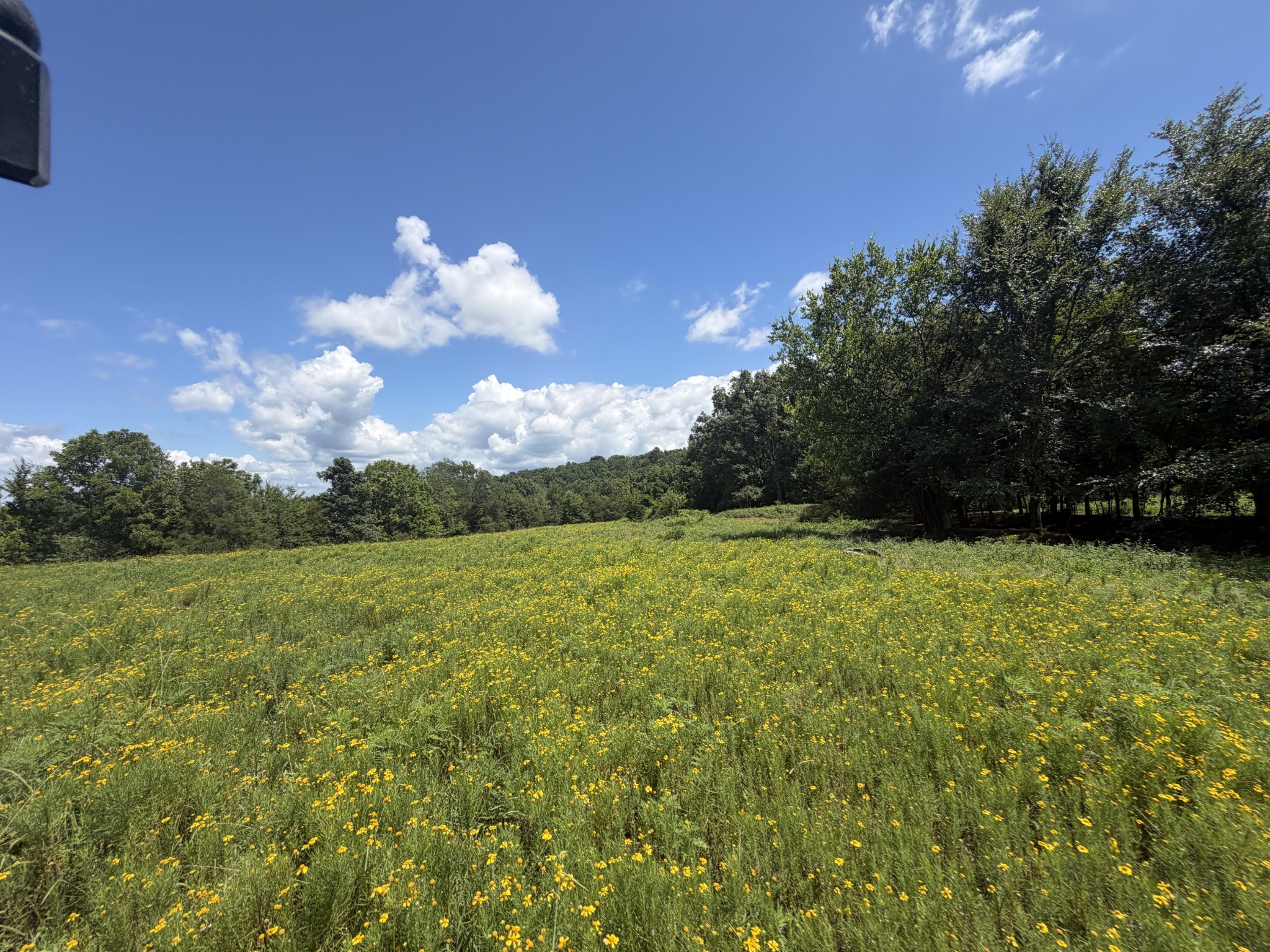 5141 Devers Road Southside, TN 37171 - Photo 25 of 33 Gallery Image 25