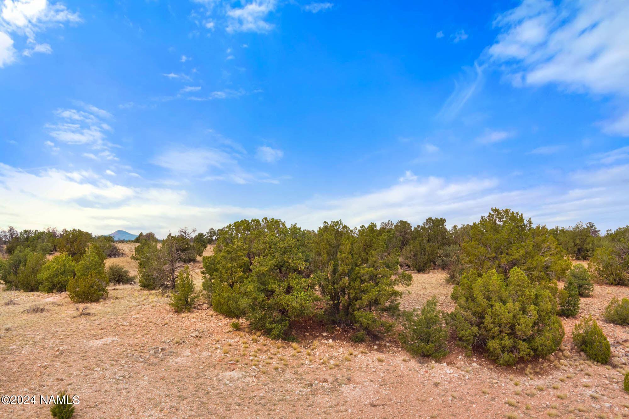 3097 North Peakview Road, Unit LOT B Williams, AZ 86046 - Photo 13 of 31 a view of a mountain