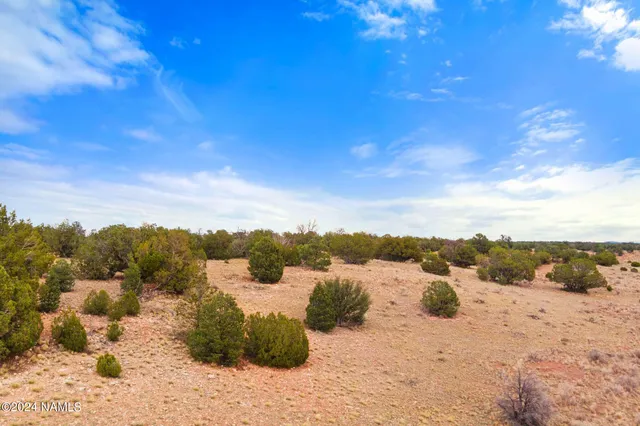 a view of beach and ocean